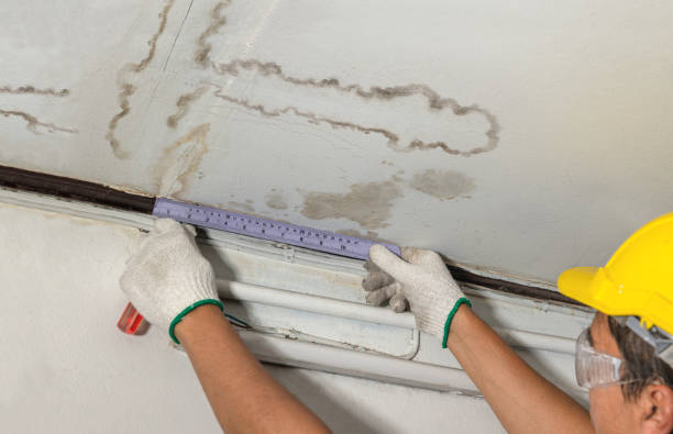 Reliable Basement Water Removal contractor in Williamsburg, VA by Water Damage Irwin